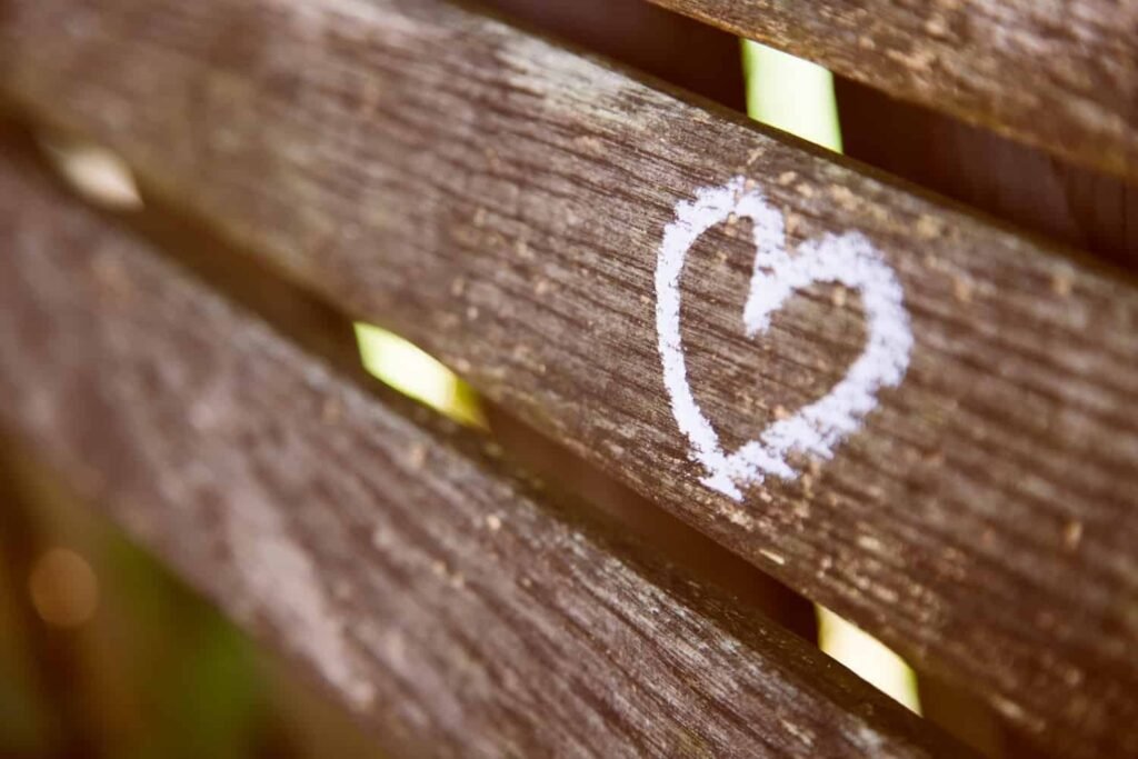 Truffe Romantiche - Truffe Sentimentali - Truffe Romantiche - Photo - Jamez-Picard-hgFddoULkHs-unsplash