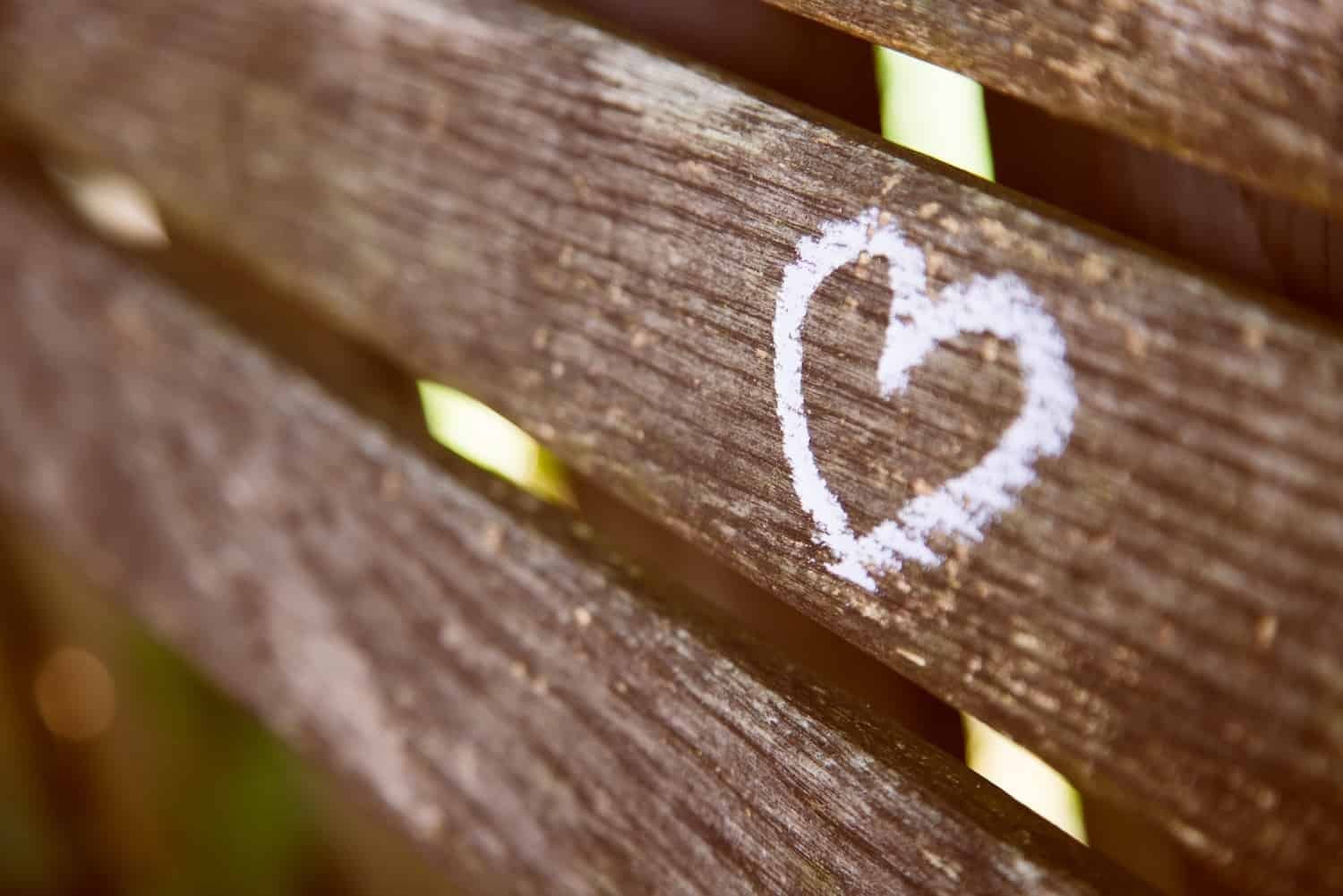 Truffe Romantiche - Truffe Sentimentali - Truffe Romantiche - Photo - Jamez-Picard-hgFddoULkHs-unsplash