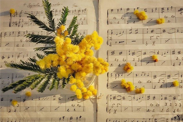 Canzone, Musica - Foto di Van3ssa 🩺🎵 Desiré 🙏 Dazzy 🎹 da Pixabay - van3ssa-mimosa-7910067_640