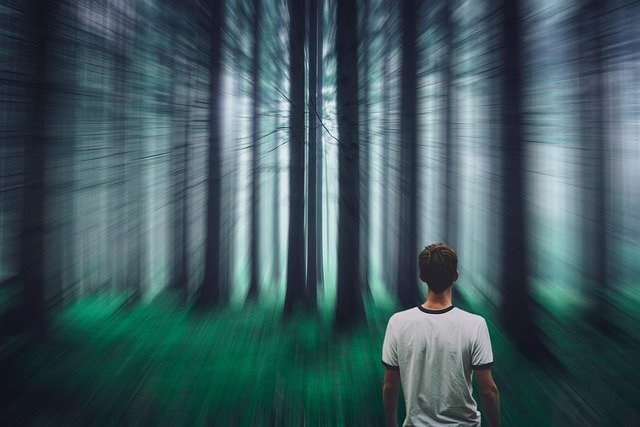 Illusioni - Allucinazioni - Foto di Enrique da Pixabay - elg21-forest-7772371_640